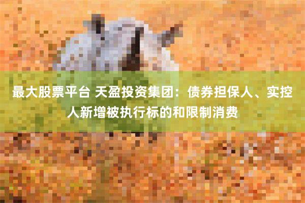 最大股票平台 天盈投资集团：债券担保人、实控人新增被执行标的和限制消费