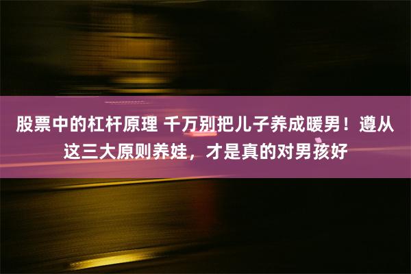 股票中的杠杆原理 千万别把儿子养成暖男！遵从这三大原则养娃，才是真的对男孩好