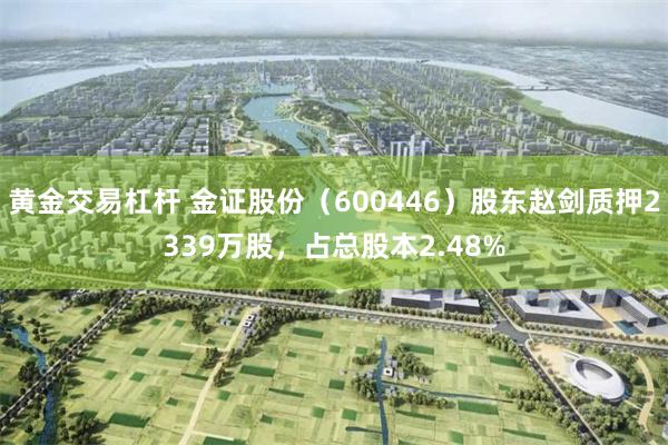黄金交易杠杆 金证股份（600446）股东赵剑质押2339万股，占总股本2.48%