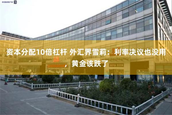 资本分配10倍杠杆 外汇界雪莉：利率决议也没用，黄金该跌了