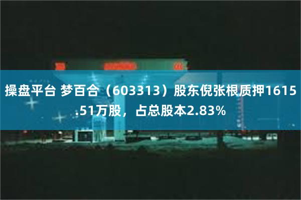 操盘平台 梦百合（603313）股东倪张根质押1615.51万股，占总股本2.83%