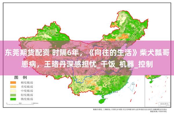 东莞期货配资 时隔6年，《向往的生活》柴犬瓢哥患病，王珞丹深感担忧_干饭_机器_控制