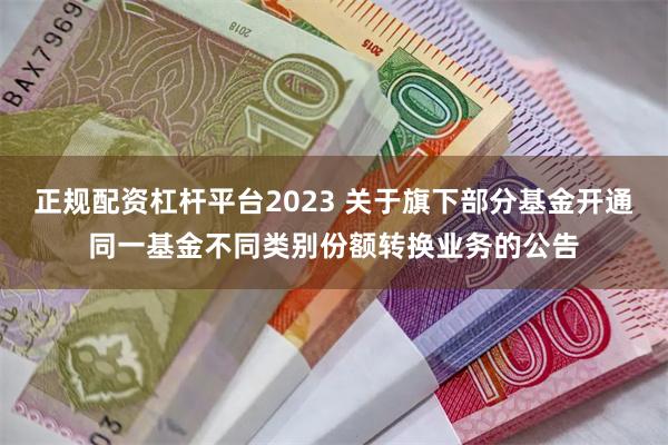 正规配资杠杆平台2023 关于旗下部分基金开通同一基金不同类别份额转换业务的公告