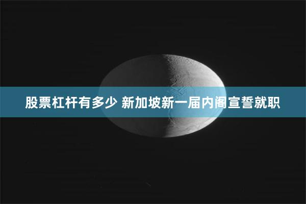 股票杠杆有多少 新加坡新一届内阁宣誓就职