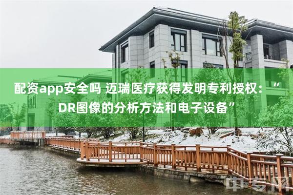 配资app安全吗 迈瑞医疗获得发明专利授权：“DR图像的分析方法和电子设备”