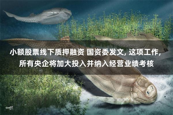 小额股票线下质押融资 国资委发文, 这项工作, 所有央企将加大投入并纳入经营业绩考核