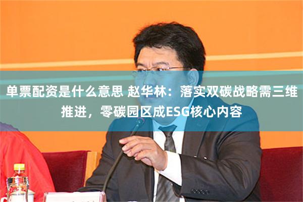 单票配资是什么意思 赵华林：落实双碳战略需三维推进，零碳园区成ESG核心内容